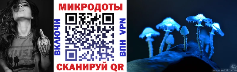 Купить закладки  Володарск  Галлюциногенные грибы Psilocybe 