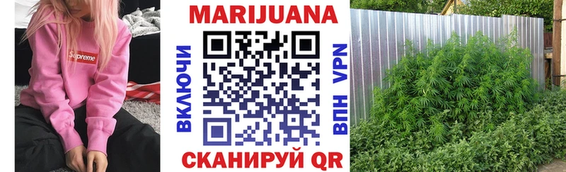 Марихуана семена  Купить где  Володарск 